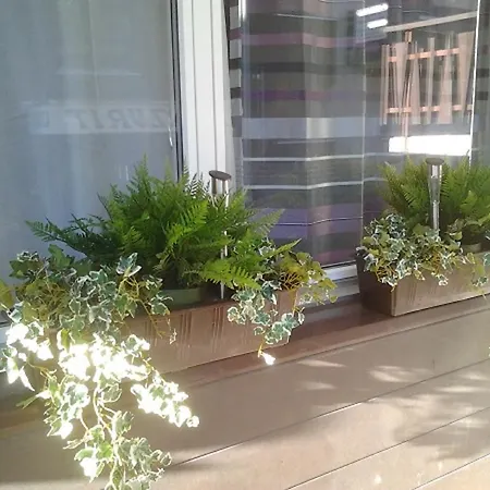 Apartment Silberblick 